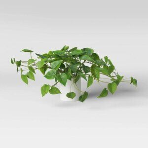 14"x28" Artificial Pothos Plant in‎ White Ceramic Pot - Threshold - Target 2023